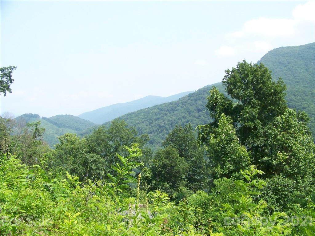 Lot 54 High Line Road - Photo 1