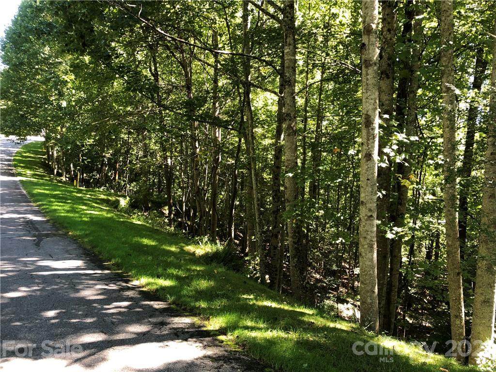 300 Cedar Rock Trail - Photo 1