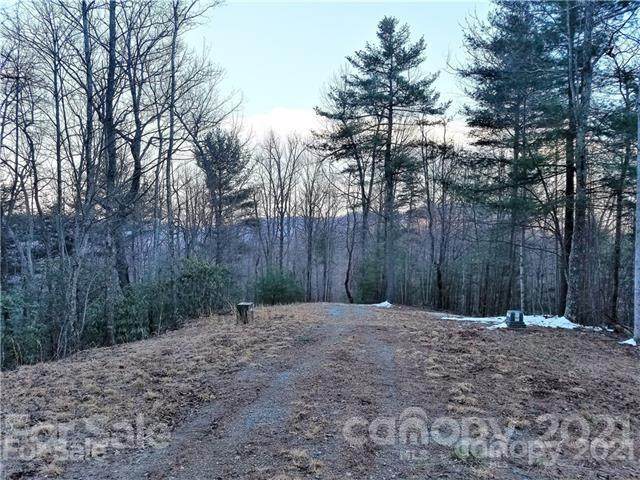 TBD Timber Run Drive - Photo 1