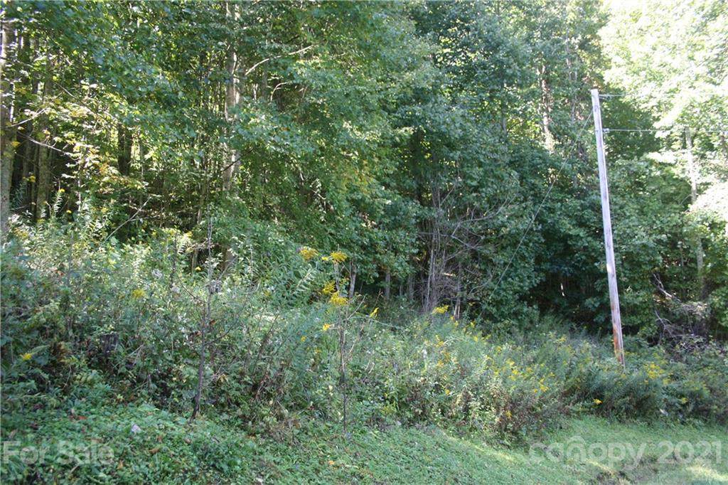 9 Haw View Drive - Photo 1