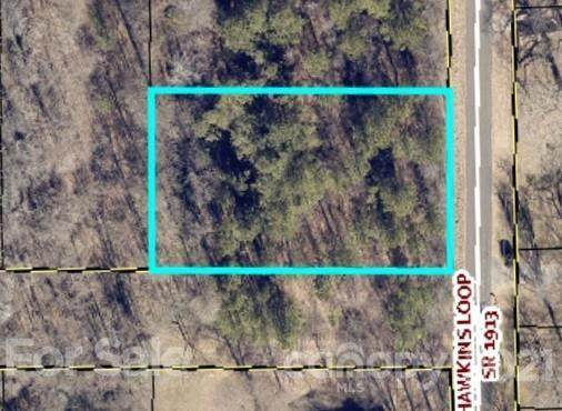 0 Hawkins Loop - Photo 1
