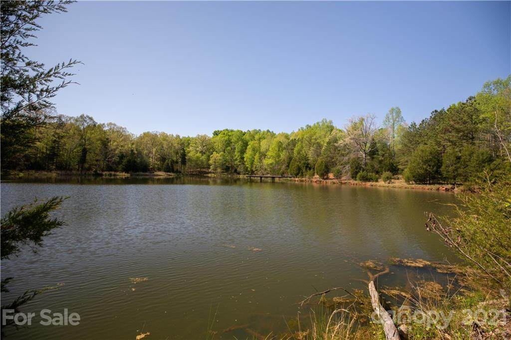 50.5 +/- Ac Woodlawn Street - Photo 1