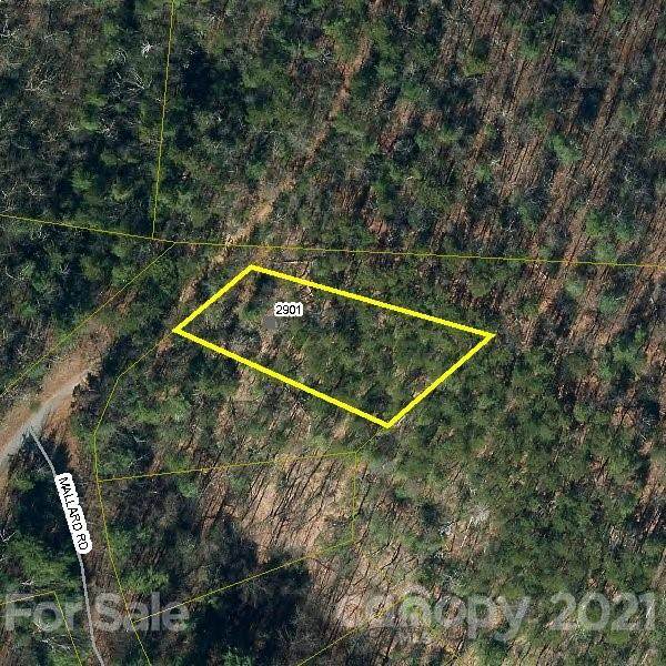2901 Pine Ridge Drive - Photo 1