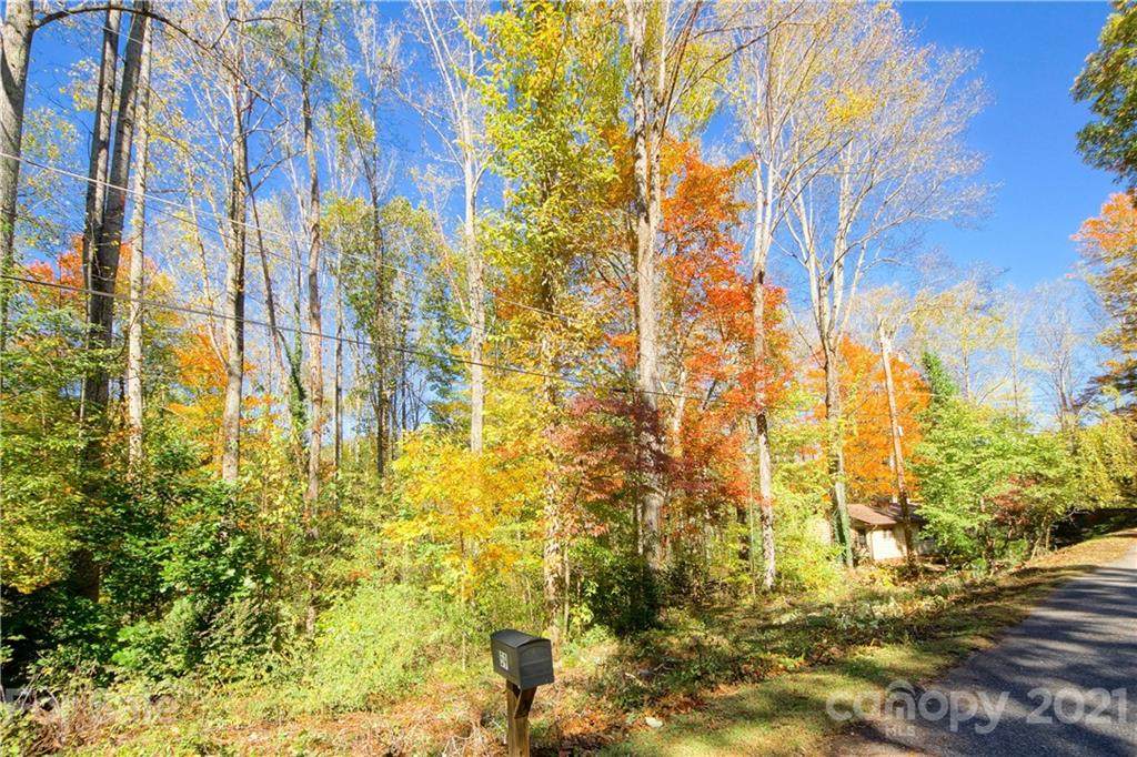 TBD Ash Drive - Photo 1