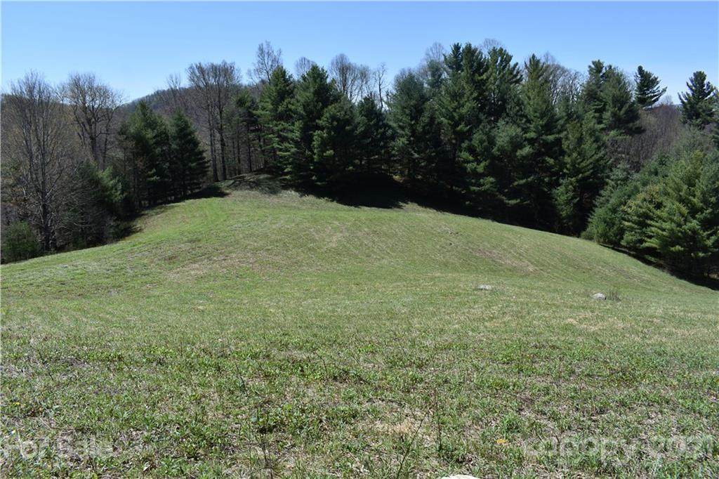 999 Poplar Creek Road - Photo 1