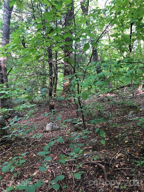 0 Bald Mountain Crescent - Photo 1