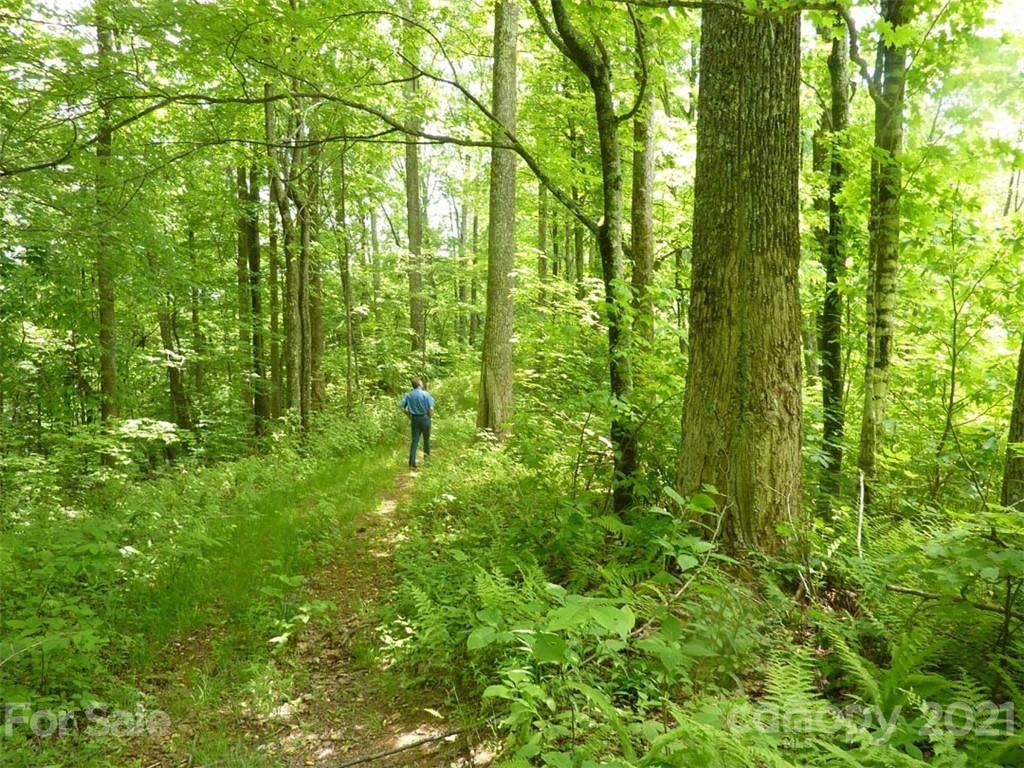 TBD Running Bear Road - Photo 1