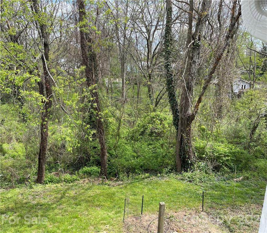 80 Brevard Road - Photo 1