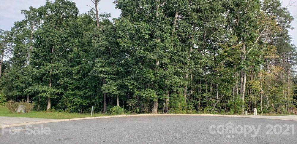 1240 Long Creek Lane - Photo 1