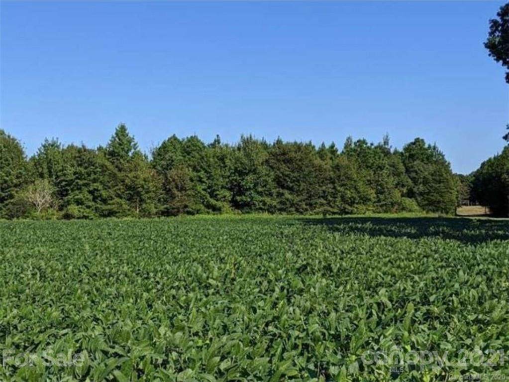 N/A Richardson Road - Photo 1