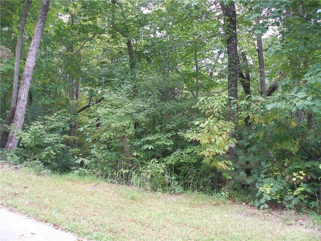 000 Old Chestnut Lane - Photo 1