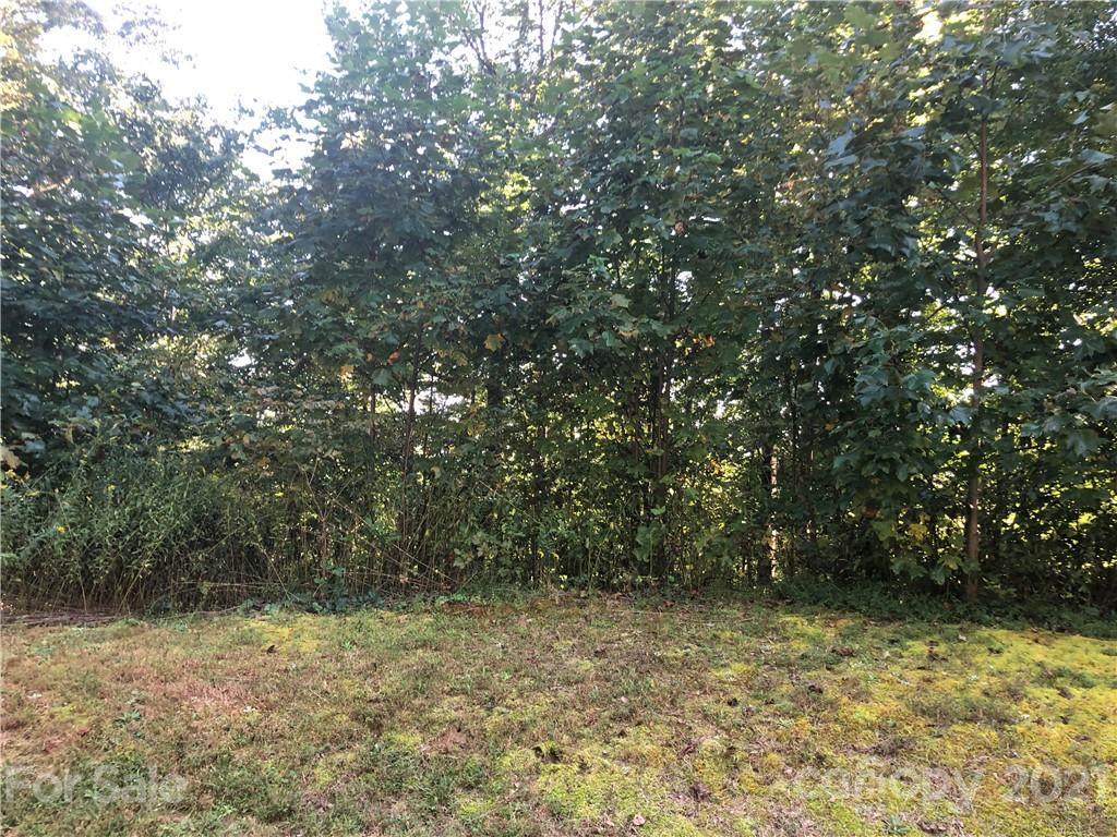 203 Mountain Morning Lane - Photo 1
