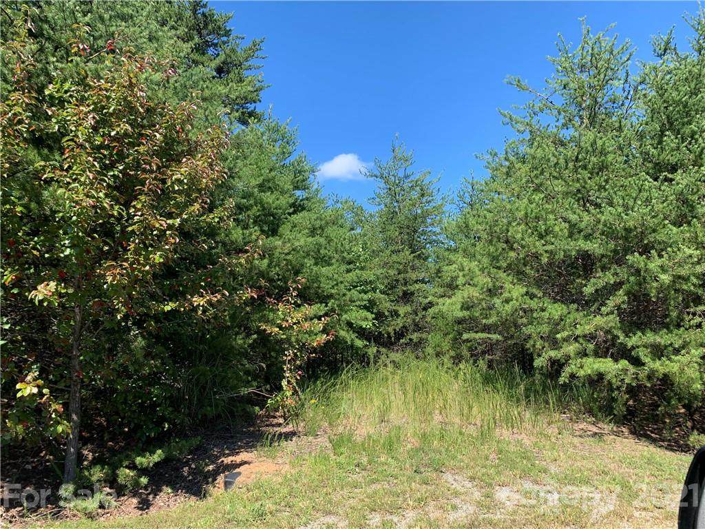 728 Arbra Mountain Way - Photo 1