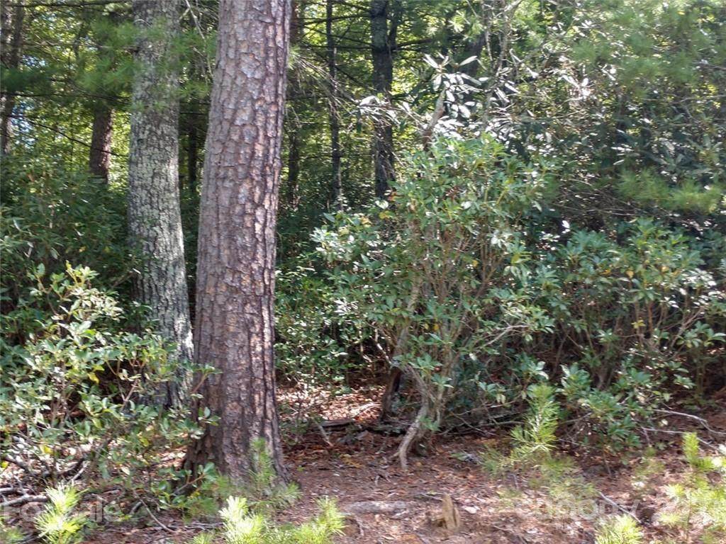 00 James View Road - Photo 1