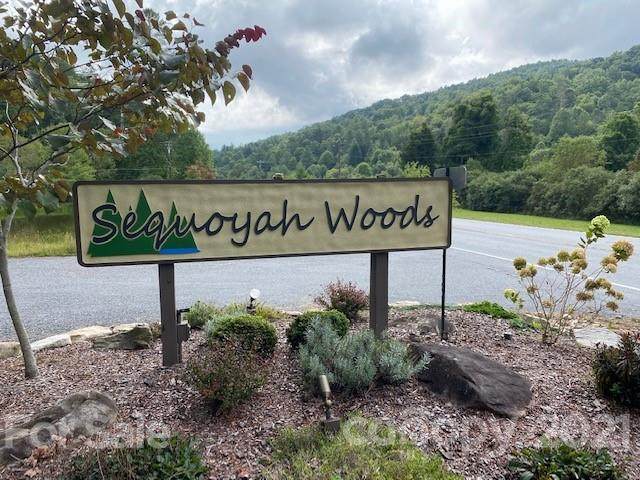 Lot 9 Galax Lane - Photo 1