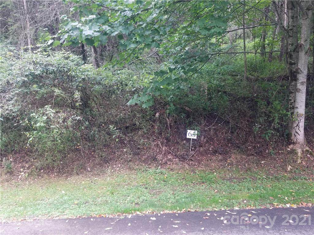 00 Twisted Trail - Photo 1