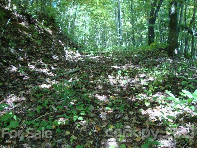 Lot 26 Village Lane - Photo 1