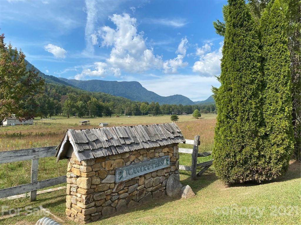 Lot 10-D Quail Drive - Photo 1