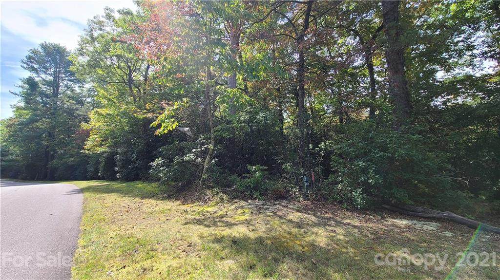 M91 Pine Mountain Trail - Photo 1