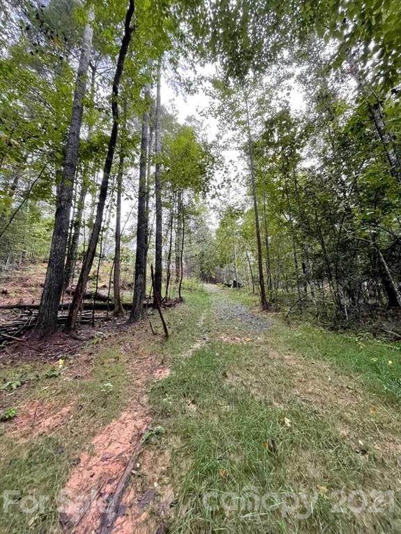 170 Forest Lake Heights Drive - Photo 1