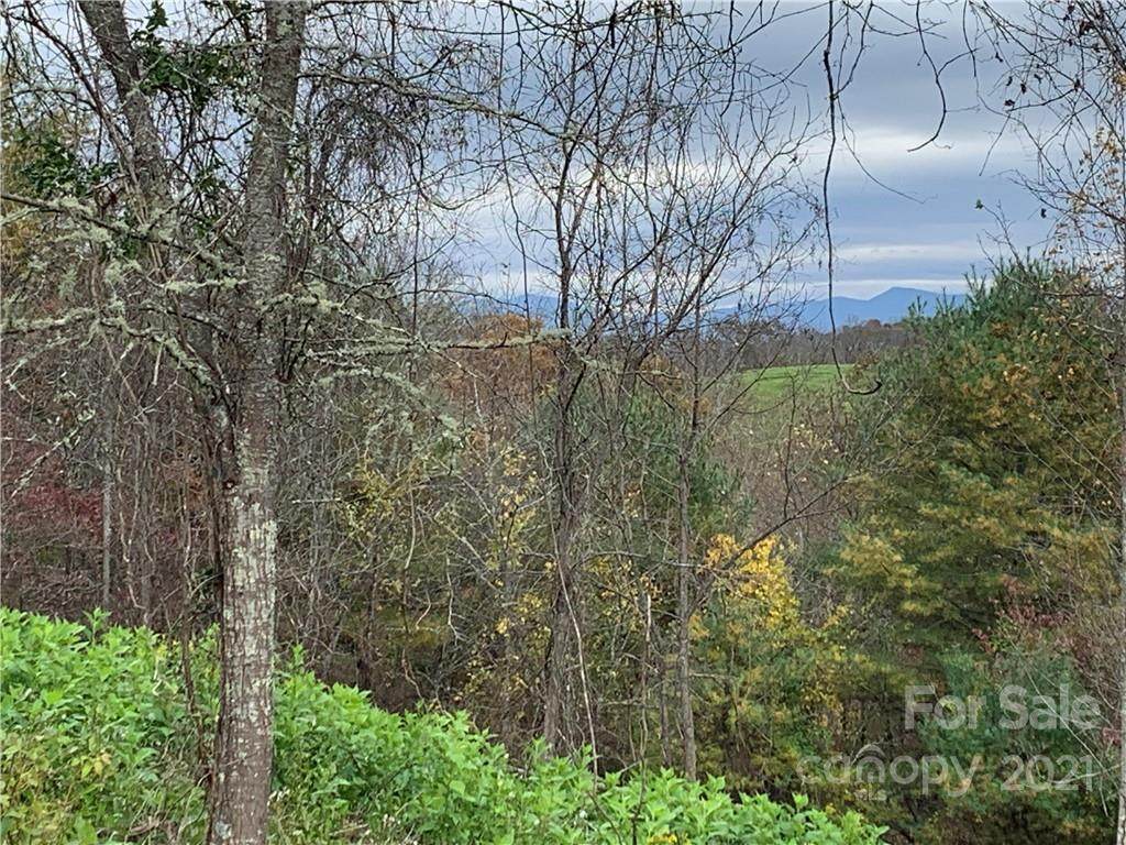 00 Blackberry Ridge Road - Photo 1