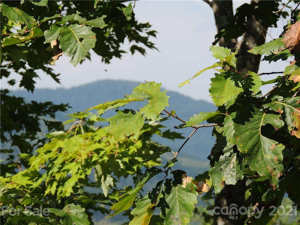 Lot # 86 Mountain Lookout Drive - Photo 1