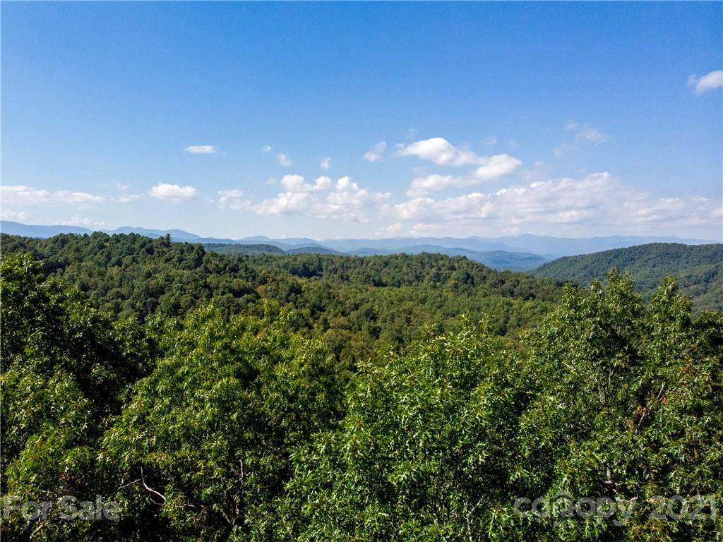 TR106 Ladd Ridge - Photo 1