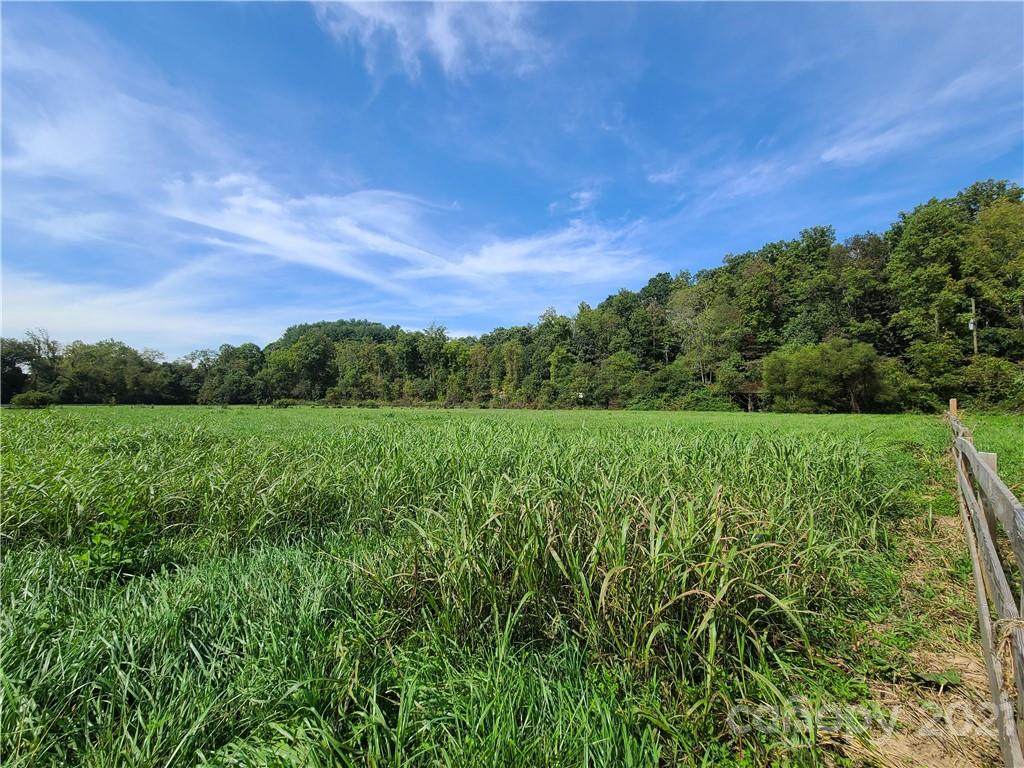 9999 Cane Creek Road - Photo 1