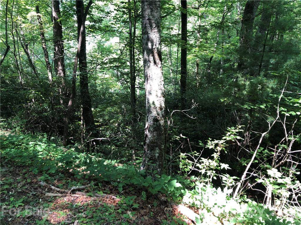 0 Bear Cove Circle - Photo 1