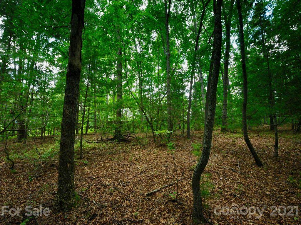 79 Running Creek Trail - Photo 1