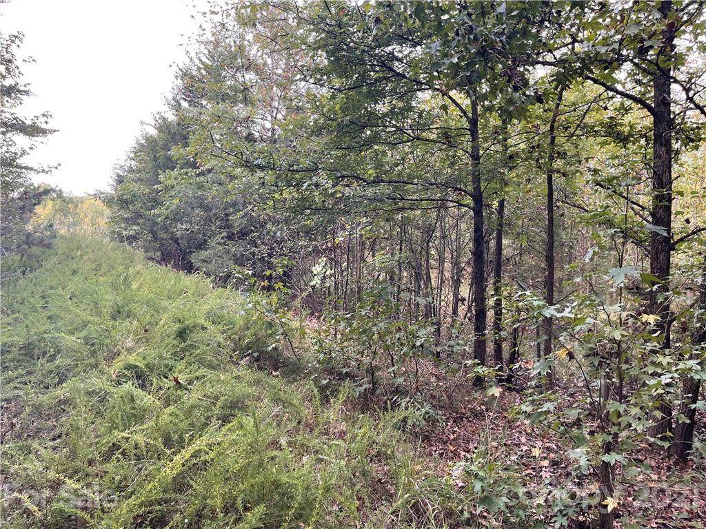 0 Mallard Creek Road - Photo 1