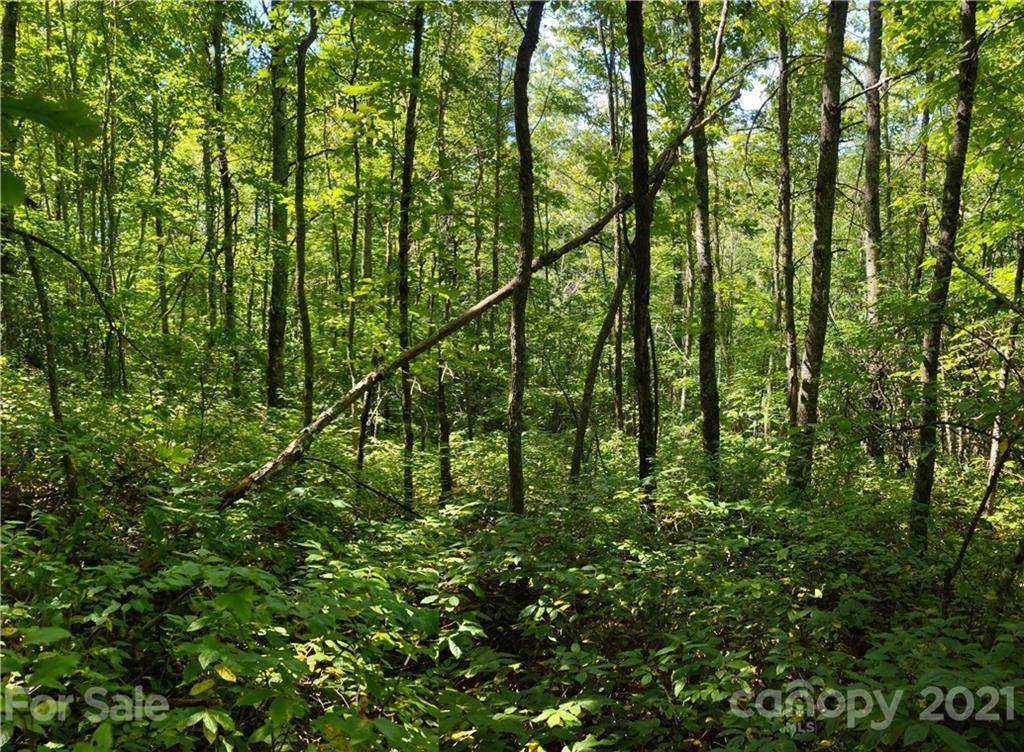 TBD Canada Road - Photo 1