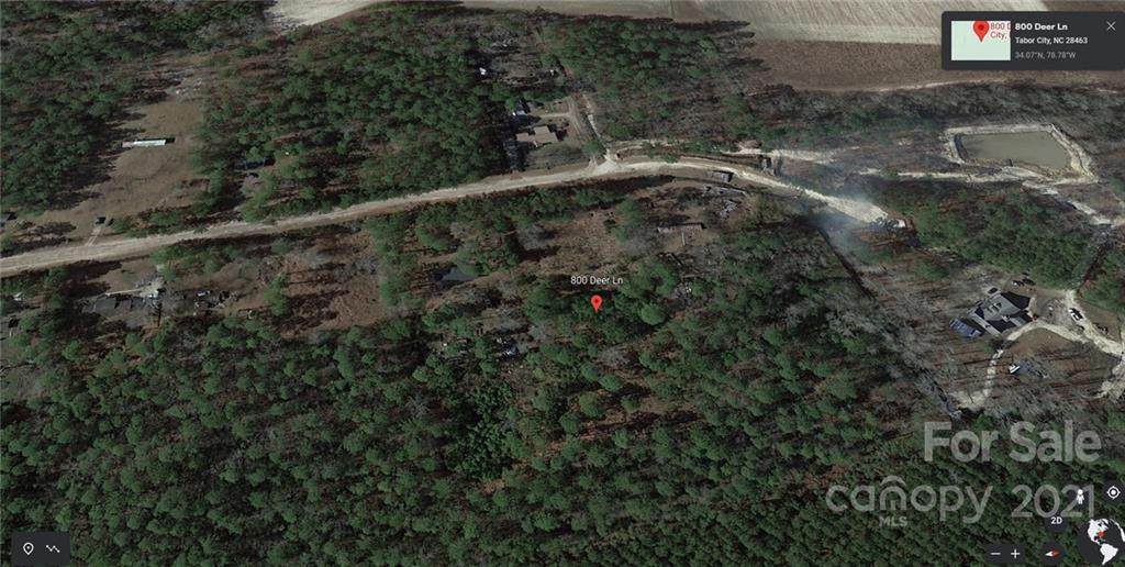 800 Deer Lane - Photo 1