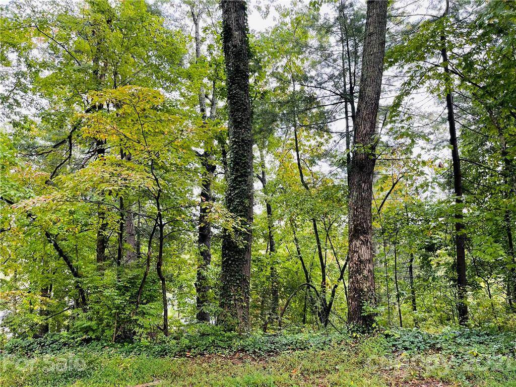 000 Upper Ridge Boulevard - Photo 1