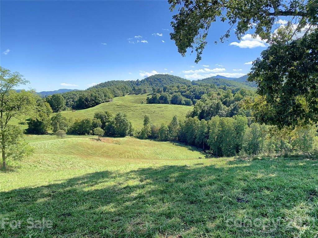 897 Cow Branch Branch - Photo 1
