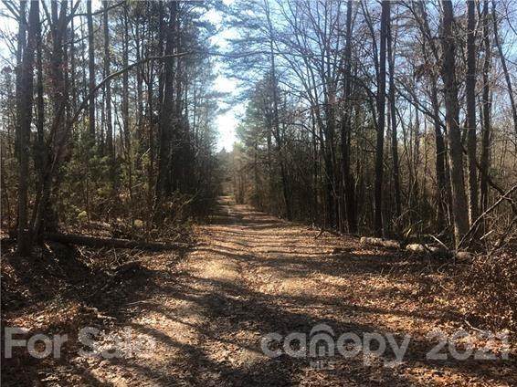 0000 Sunnybrook Pass - Photo 1
