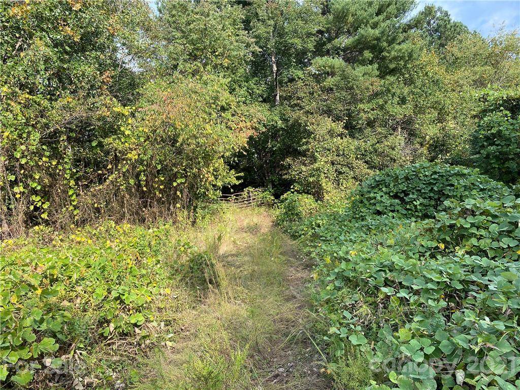 5422 Goat Farm Road - Photo 1