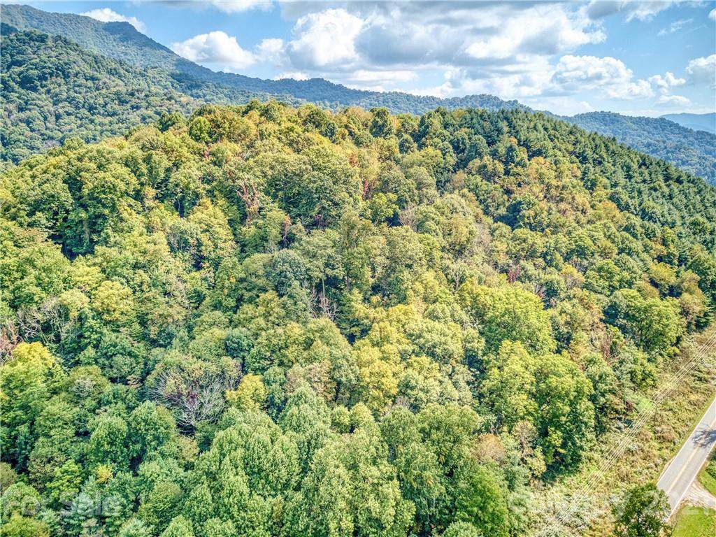 00 Rush Fork Road - Photo 1
