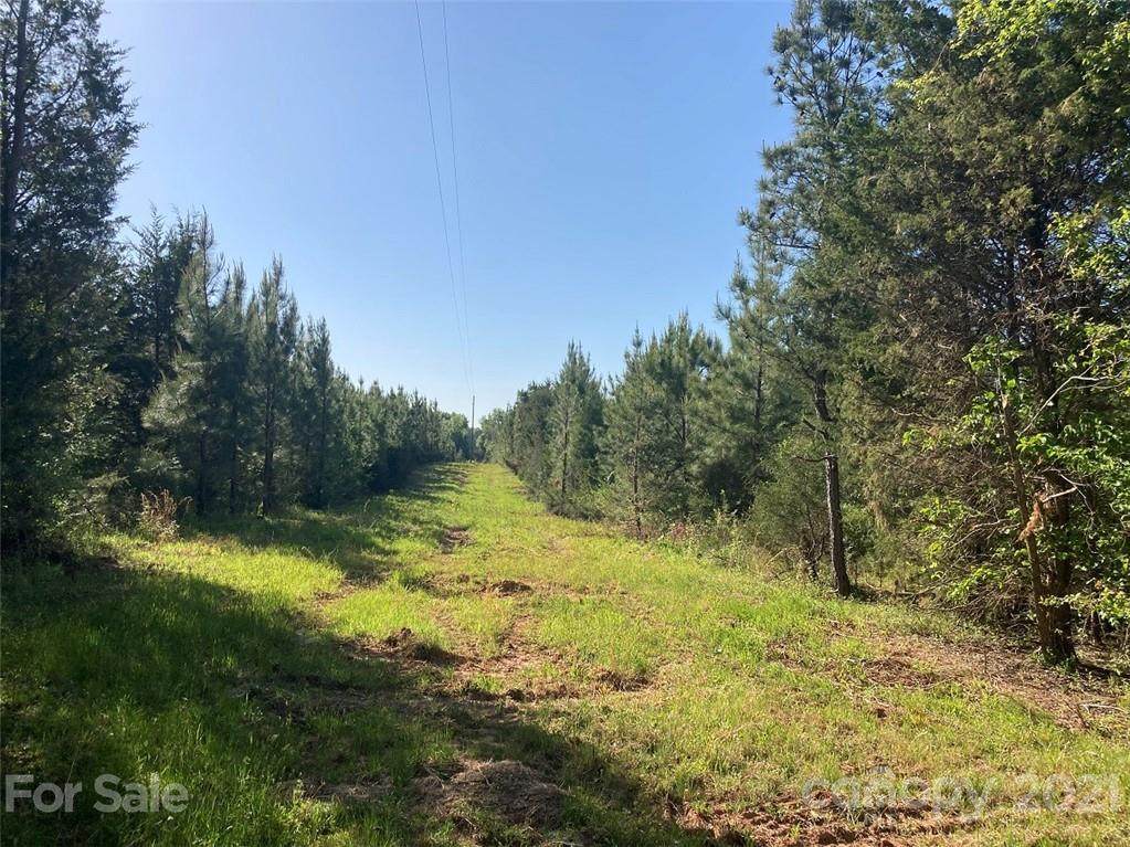 11.7 Ac Otis Crosby Road - Photo 1