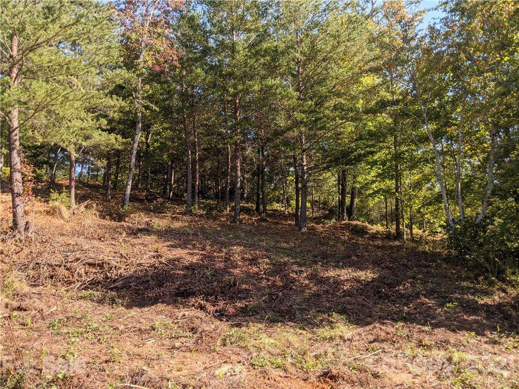 0 Willow Top Lane - Photo 1