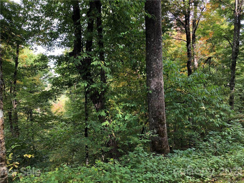 LOT 25 Young Bear Trail - Photo 1
