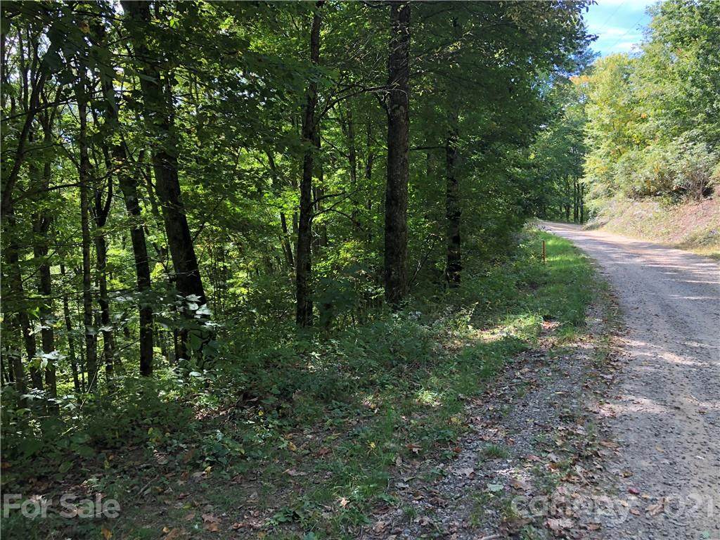 Lot 1 Cold Springs Drive - Photo 1