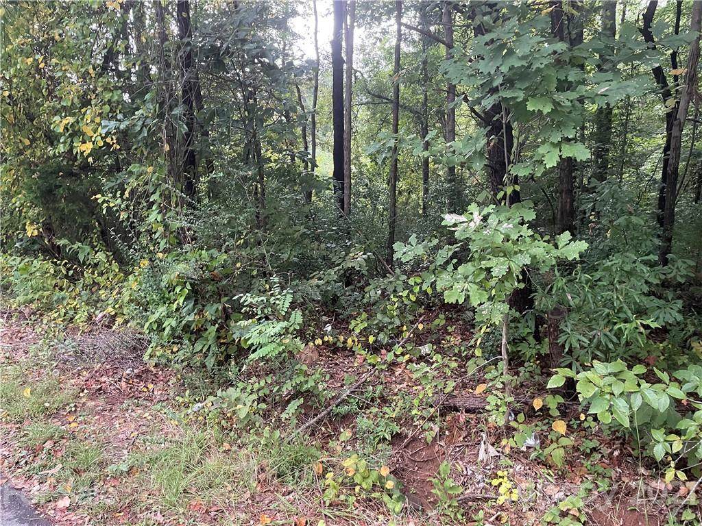 0 St John Zion Road - Photo 1