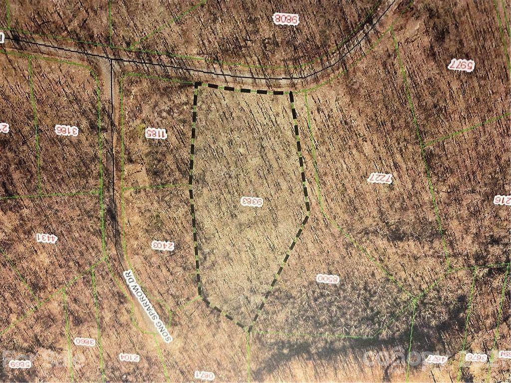 000 Forest Country Drive - Photo 1