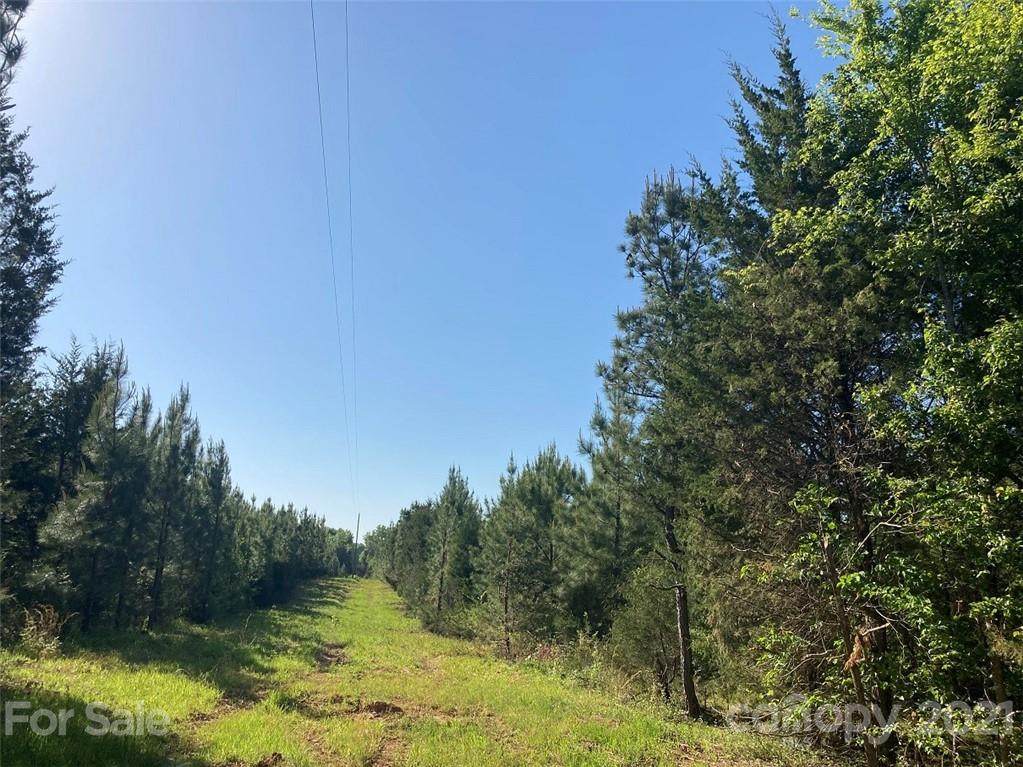 22 Ac Otis Crosby Road - Photo 1