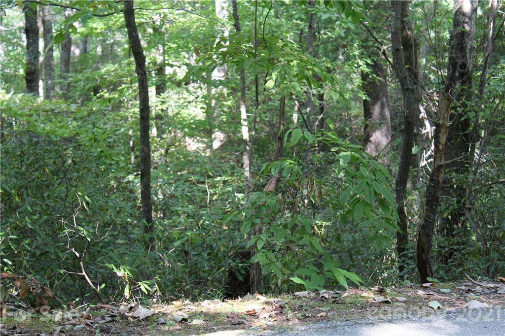 000 Chimney Cliffs Drive - Photo 1