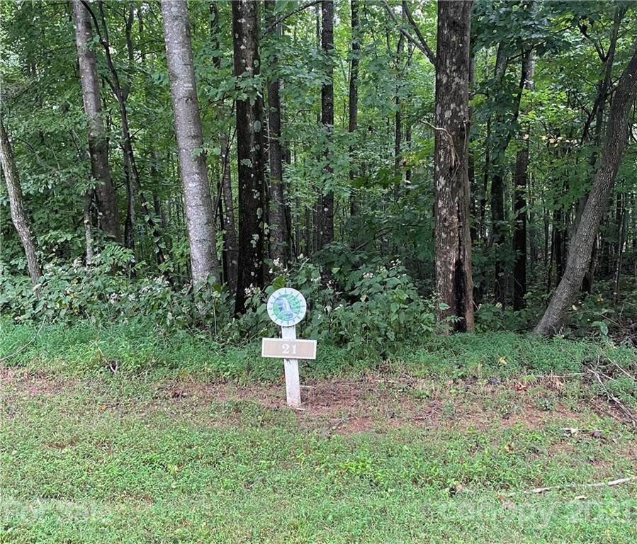 Lot 21 Feather Falls Trail - Photo 1