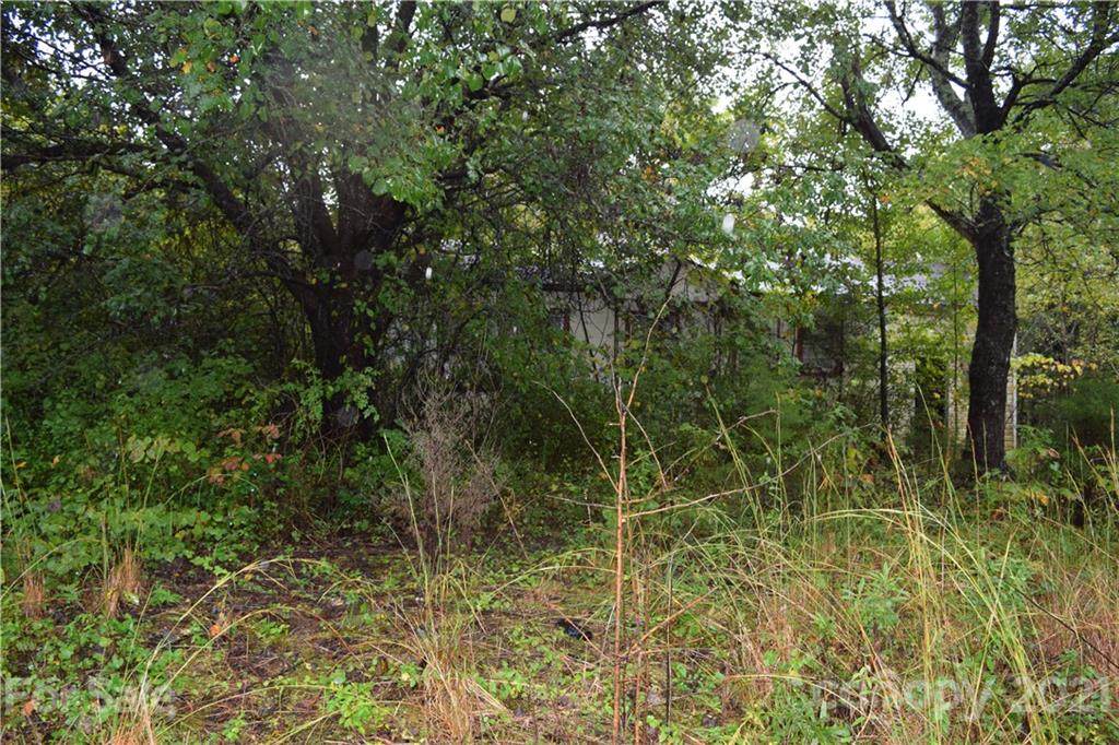 1636 Amherst Road - Photo 1