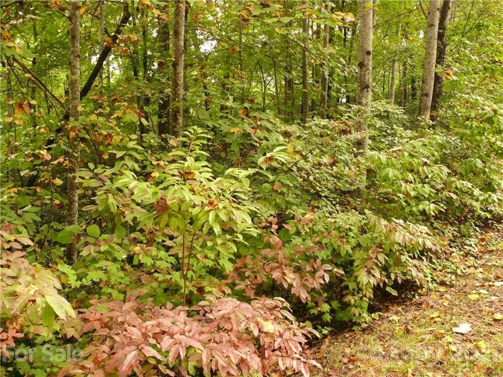 LOT 66 Shumont Estates Drive - Photo 1