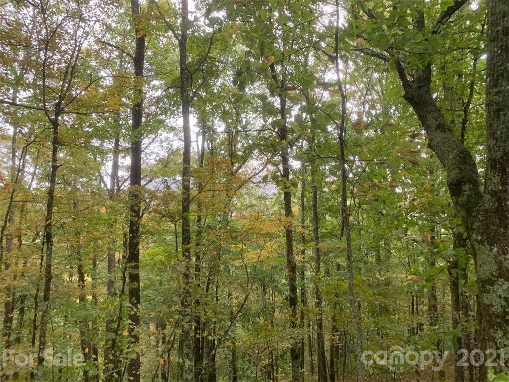 Lot 235 Hanging Rock Road - Photo 1